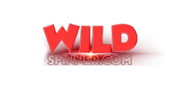 WildSpinner Casino Logo