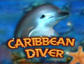 Caribbean Diver