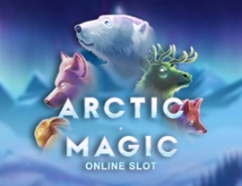 Arctic Enchantress