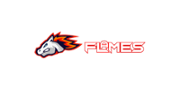 Flames Casino Logo