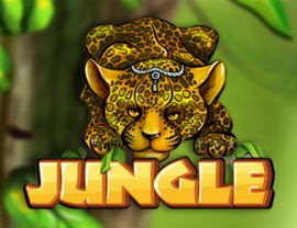 Jungle