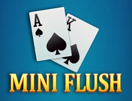 Mini Flush