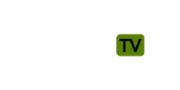CasinoTV Logo