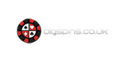 BigSpins.co.uk Logo