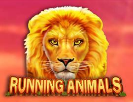 Running Animals